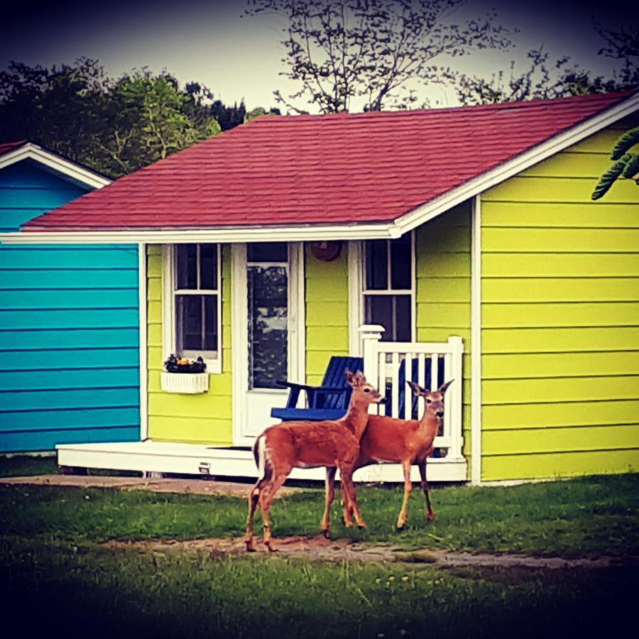 Atlantic View Motel Lunenburg Kültér fotó