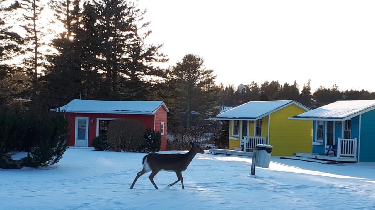 Atlantic View Motel Lunenburg Kültér fotó